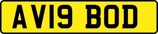 AV19BOD