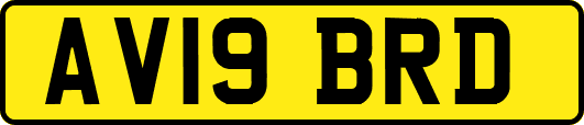AV19BRD