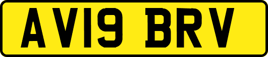 AV19BRV