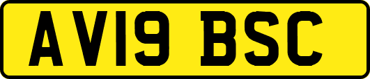 AV19BSC