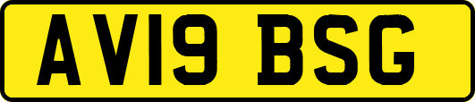 AV19BSG