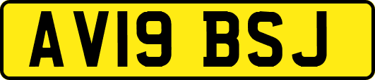AV19BSJ