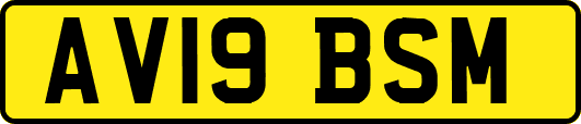 AV19BSM