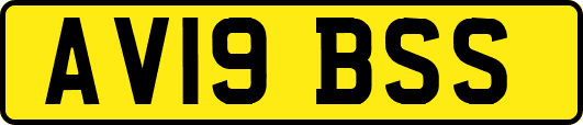 AV19BSS