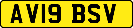 AV19BSV