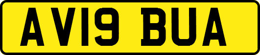 AV19BUA