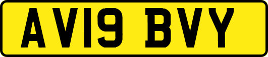 AV19BVY