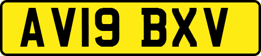 AV19BXV