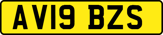 AV19BZS