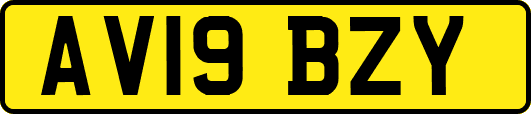AV19BZY