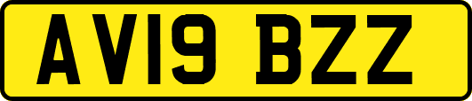 AV19BZZ