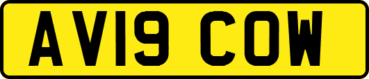 AV19COW