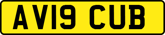AV19CUB