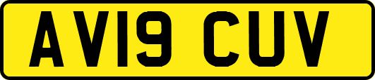 AV19CUV