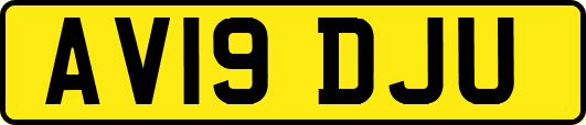 AV19DJU