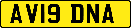 AV19DNA
