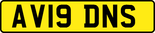 AV19DNS