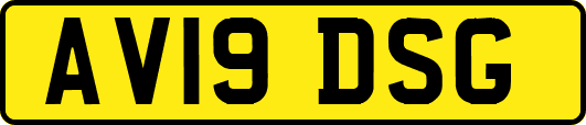 AV19DSG