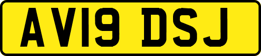 AV19DSJ