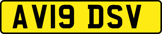 AV19DSV