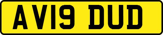 AV19DUD