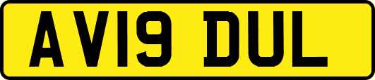 AV19DUL