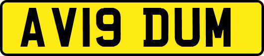 AV19DUM