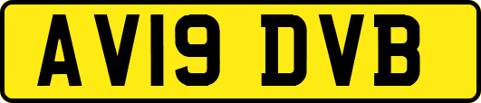 AV19DVB