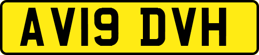 AV19DVH