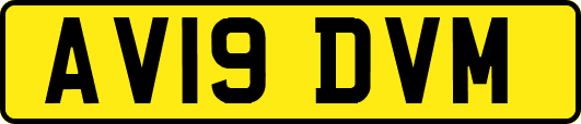 AV19DVM