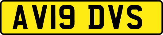 AV19DVS