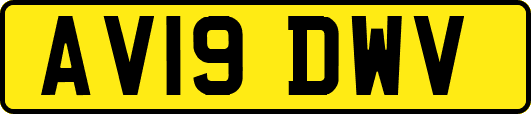 AV19DWV