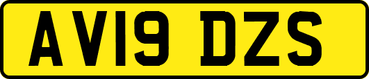 AV19DZS