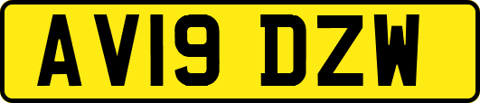 AV19DZW
