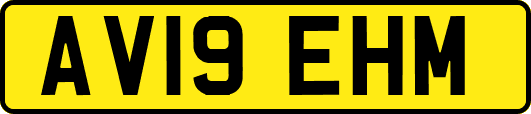 AV19EHM