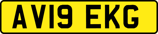 AV19EKG