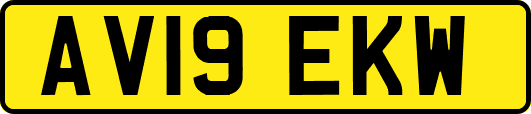 AV19EKW