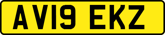 AV19EKZ