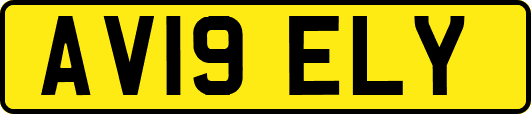 AV19ELY