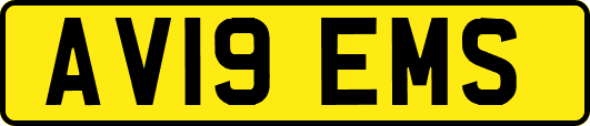 AV19EMS