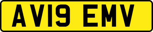 AV19EMV