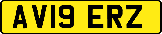 AV19ERZ