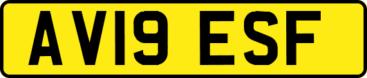AV19ESF