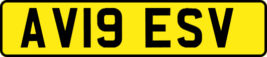 AV19ESV