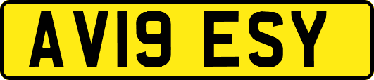 AV19ESY