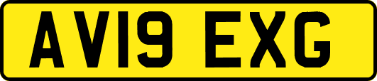 AV19EXG