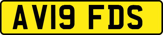 AV19FDS