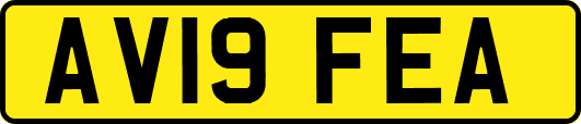 AV19FEA