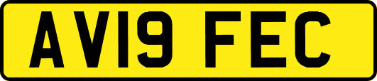 AV19FEC