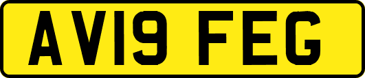 AV19FEG